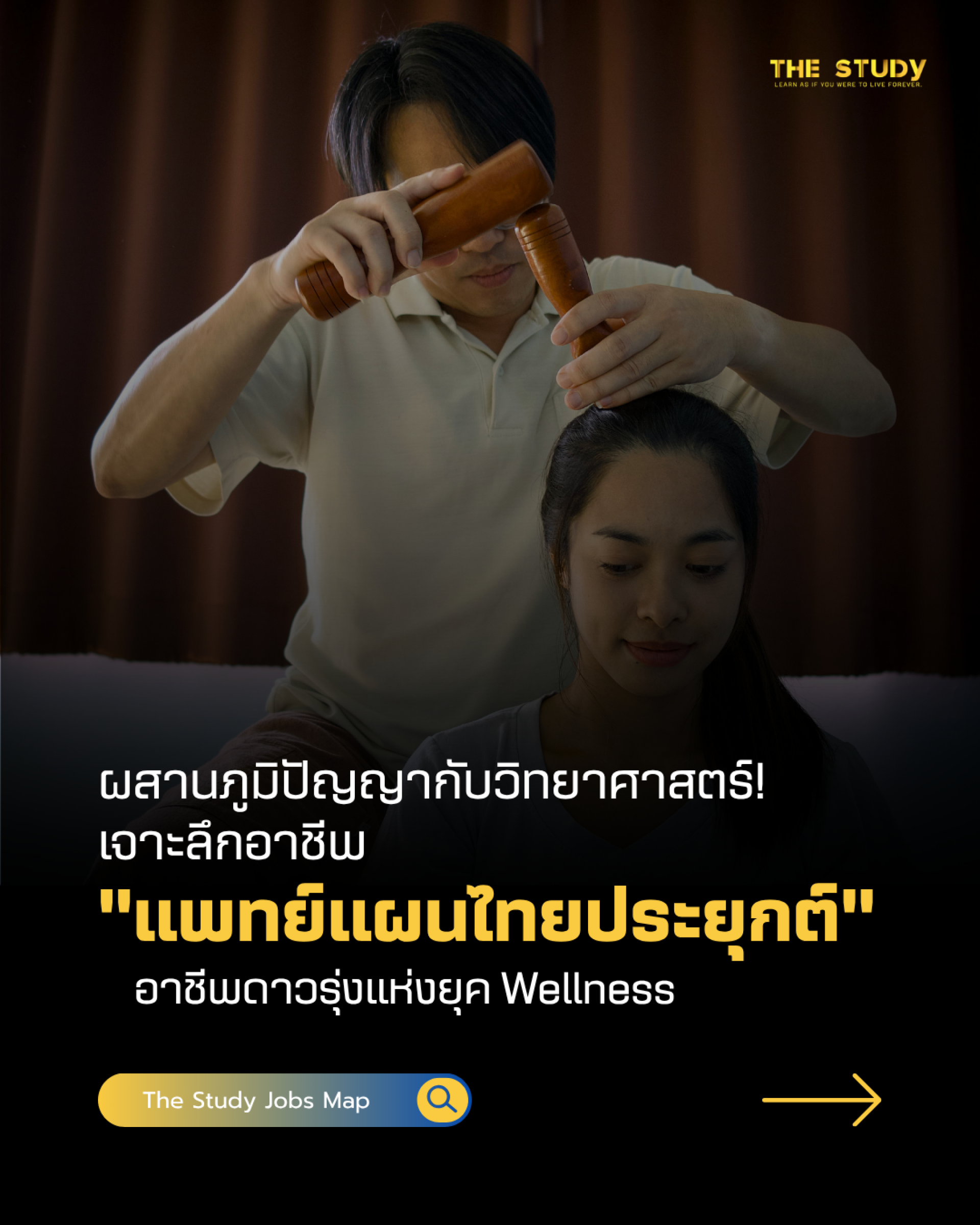 แพทย์แผนไทยประยุกต์ แพทย์แผนไทยประยุกต์