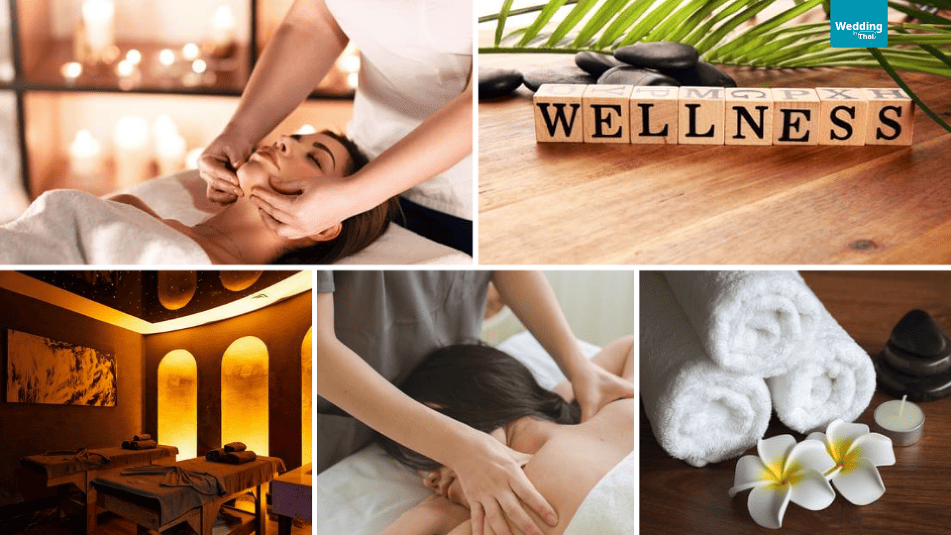 Wellness Wellness