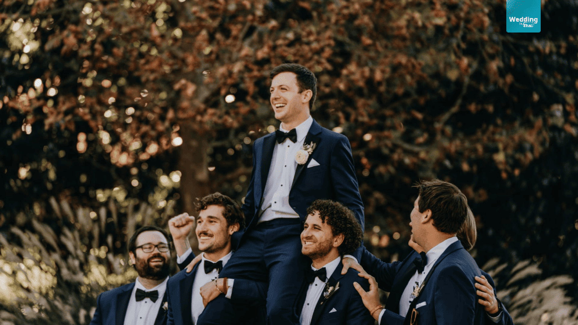 Wedding Wedding
