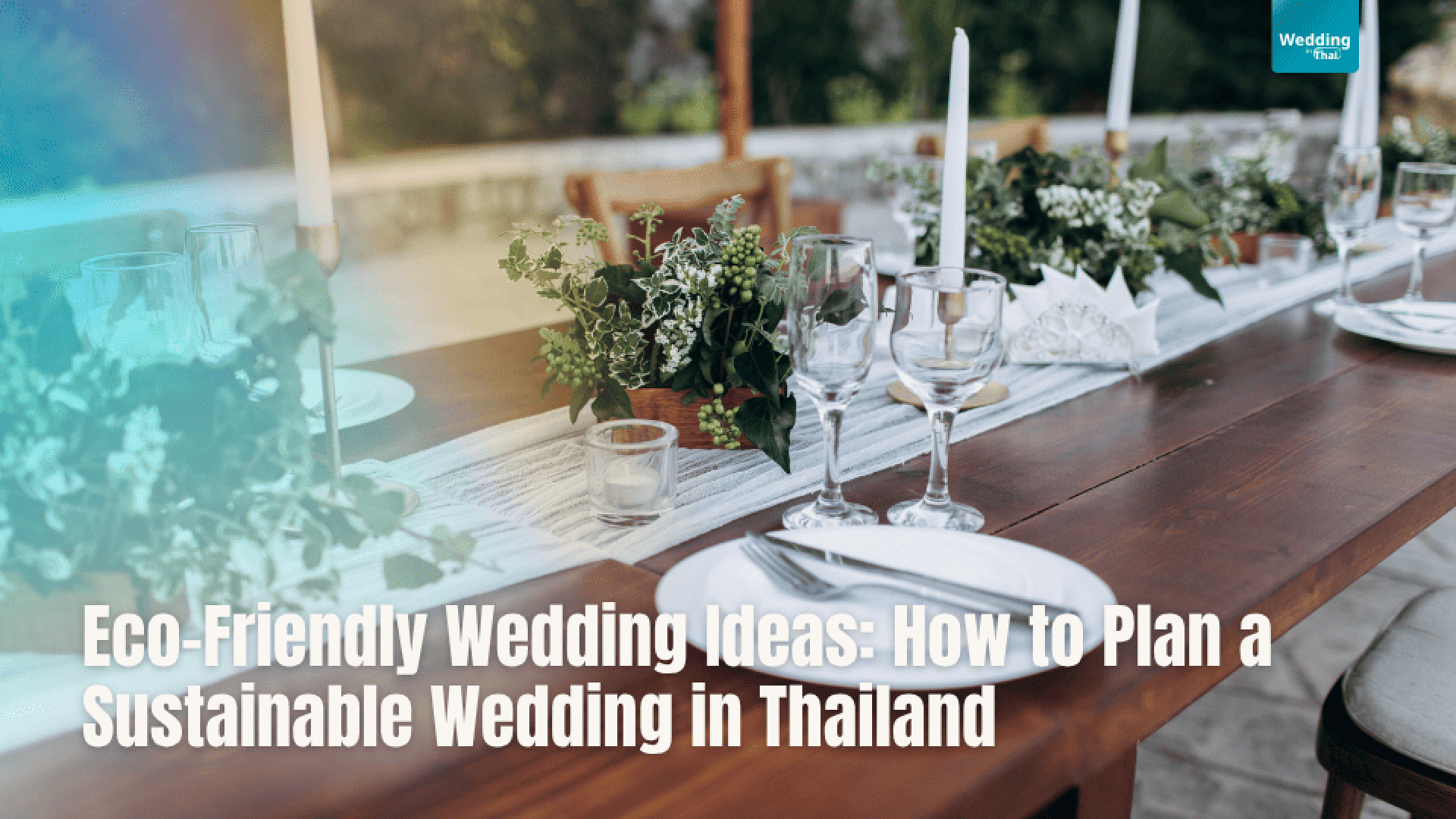 Eco-Friendly Wedding Eco-Friendly Wedding
