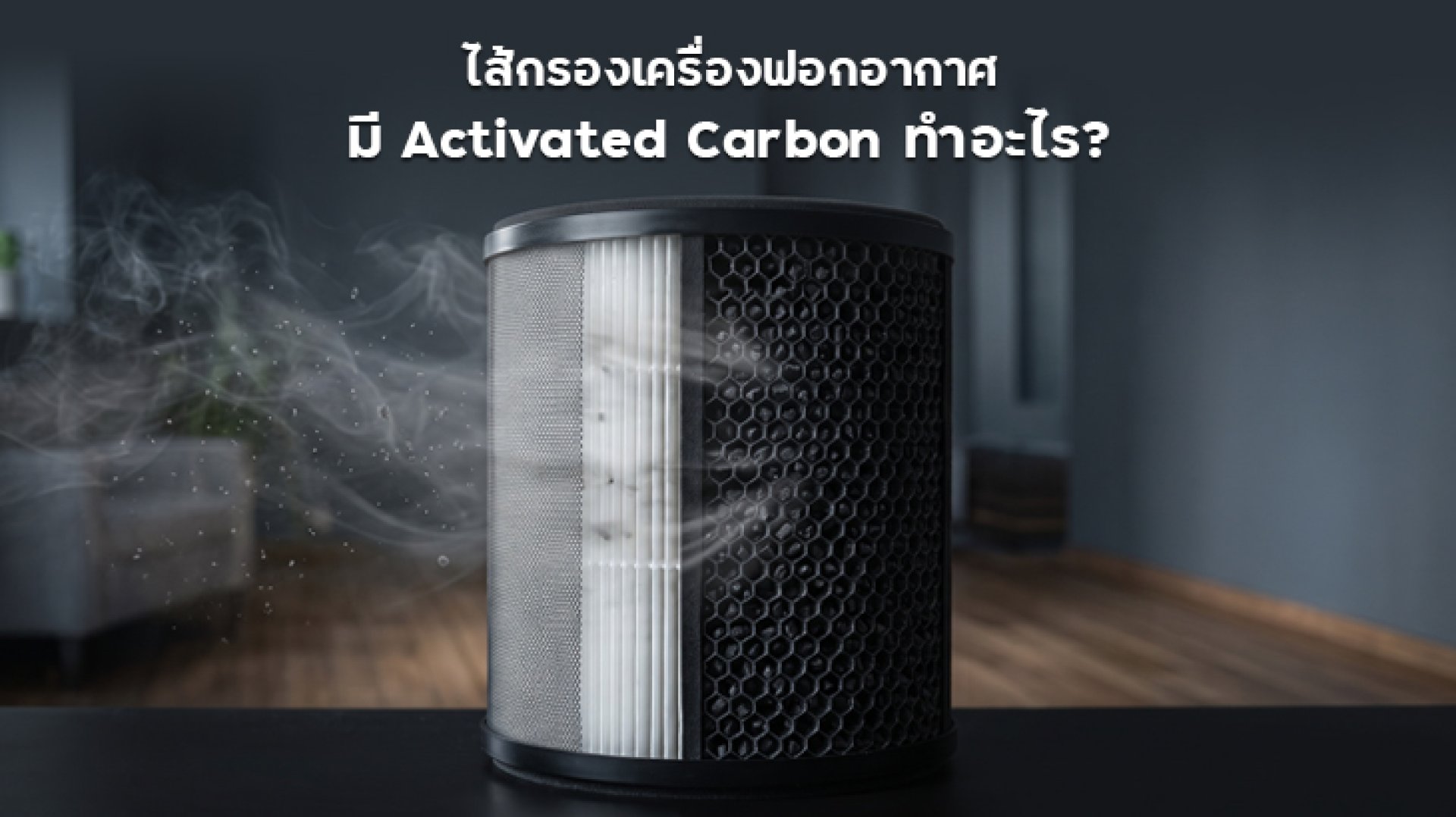 ไส้กรองเครื่องฟอกอากาศ_มี_Activated_Carbon_ทำอะไร ไส้กรองเครื่องฟอกอากาศ_มี_Activated_Carbon_ทำอะไร