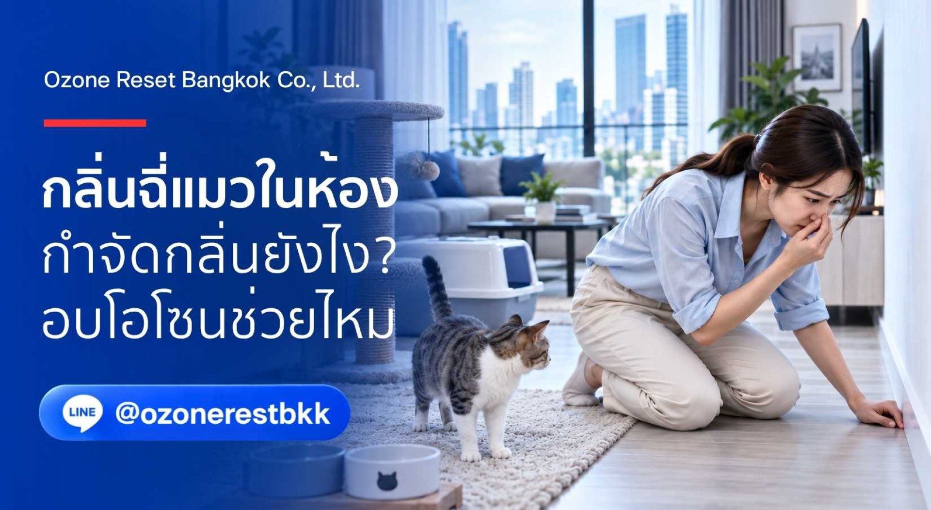 อบโอโซนกำจัดกลิ่นแมวในคอนโด กลิ่นฉี่แมว กลิ่นสาบแมว อบโอโซนกำจัดกลิ่นแมวในคอนโด กลิ่นฉี่แมว กลิ่นสาบแมว