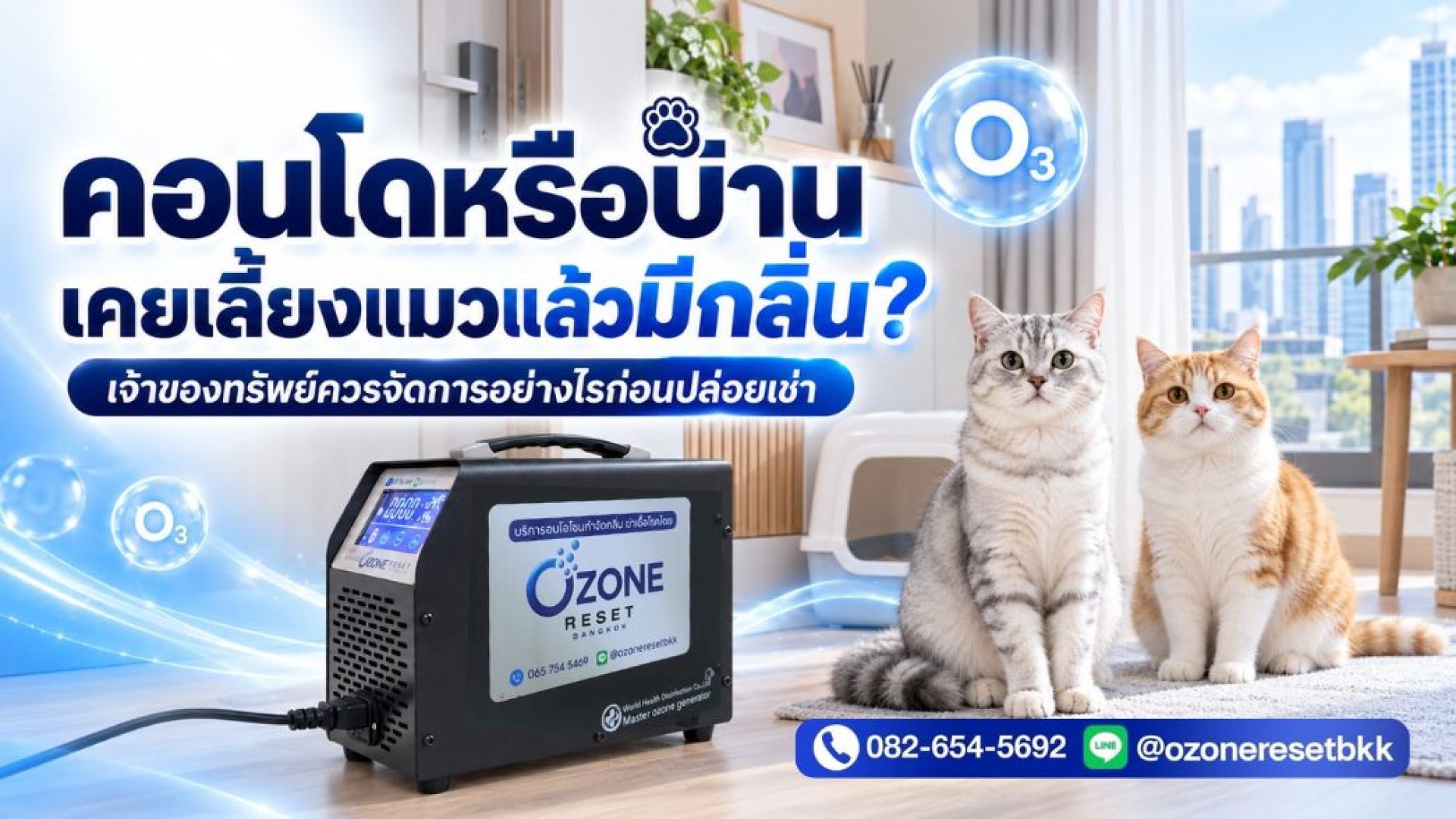 รับอบโอโซนกำจัดกลิ่นแมว อบโอโซนกำจัดกลิ่นสัตว์เลี้ยง อบโอโซนโดยบริษัทอบโอโซน Ozone Reset รับอบโอโซนกำจัดกลิ่นแมว อบโอโซนกำจัดกลิ่นสัตว์เลี้ยง อบโอโซนโดยบริษัทอบโอโซน Ozone Reset