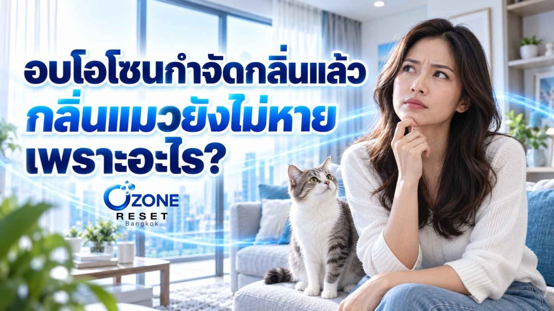 ติดต่อจองบริการอบโอโซนกำจัดกลิ่นแล้ว กลิ่นแมวยังไม่หาย ติดต่อจองบริการอบโอโซนกำจัดกลิ่นแล้ว กลิ่นแมวยังไม่หาย