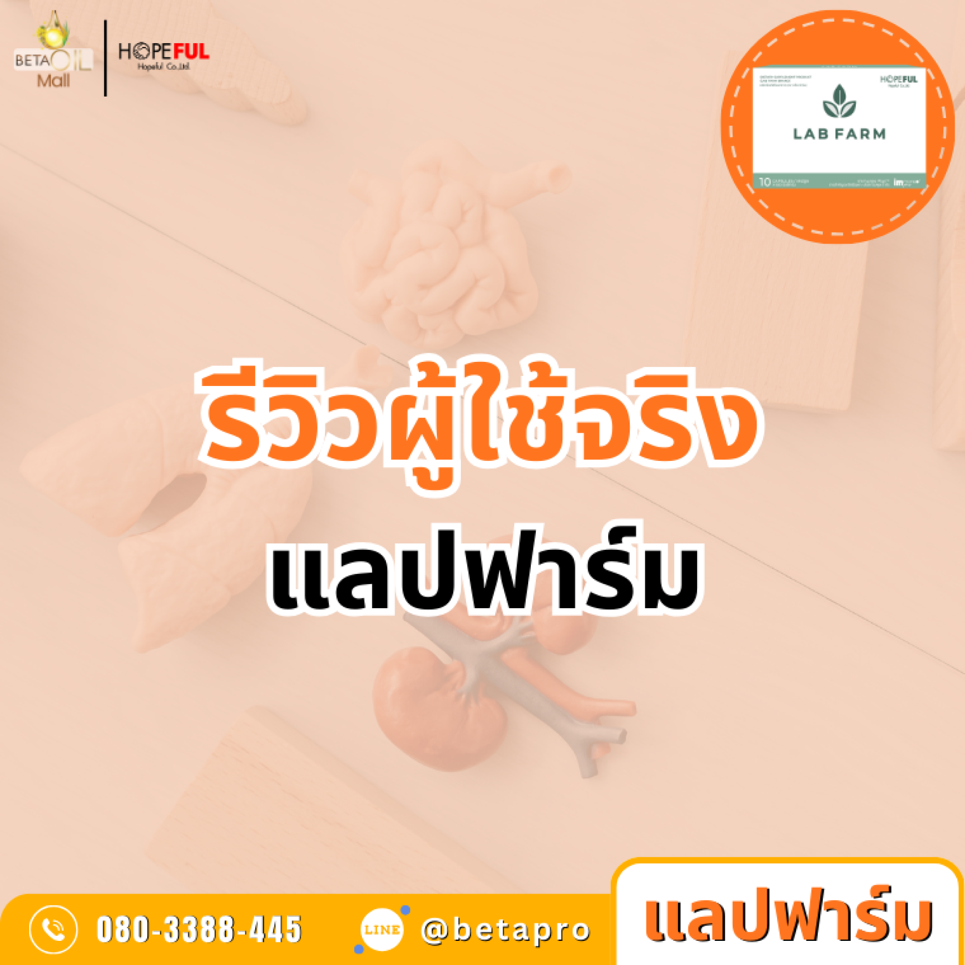 รีวิวผู้ใช้จริงแลปฟาร์ม รีวิวผู้ใช้จริงแลปฟาร์ม
