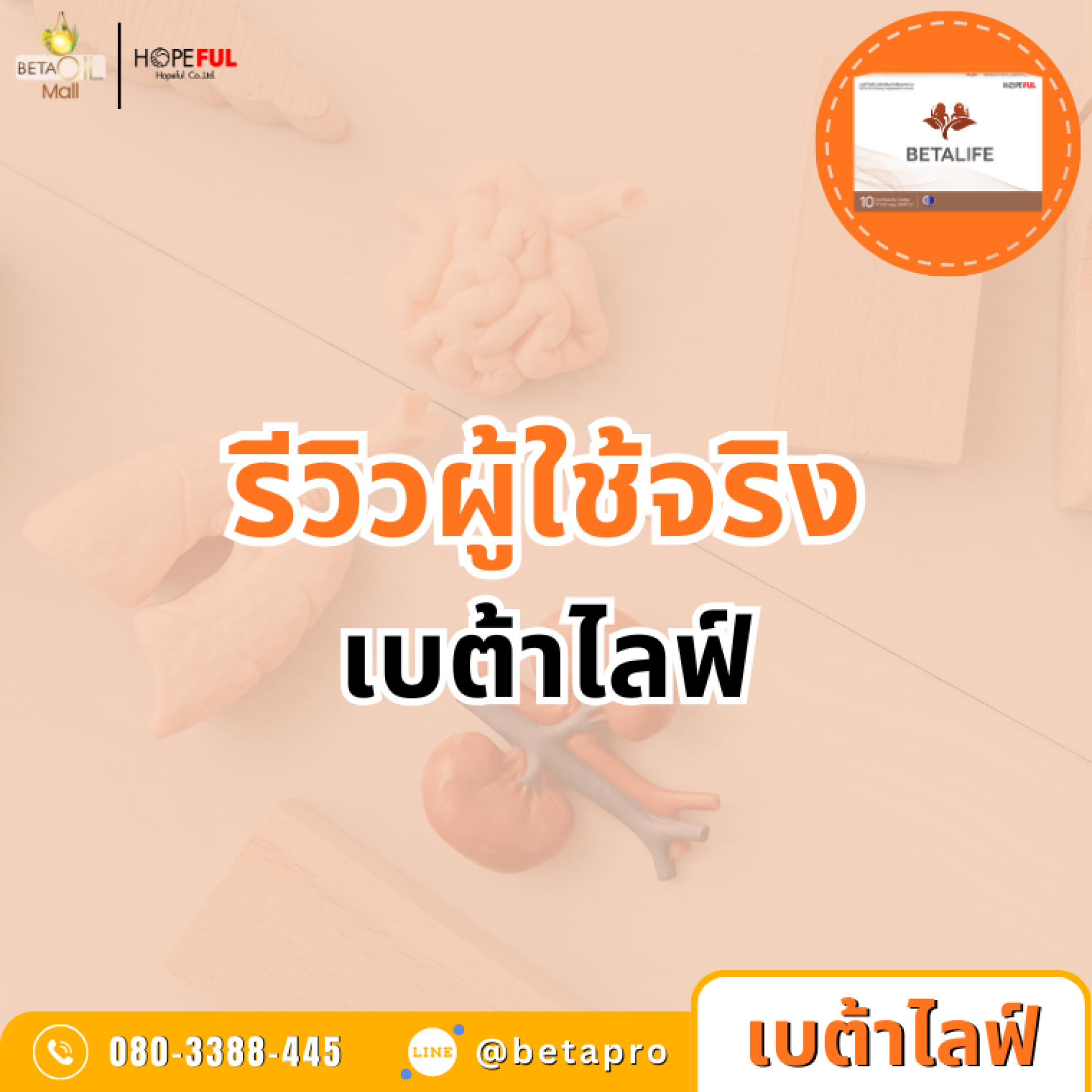 รีวิวผู้ใช้จริงเบต้าไลฟ์ รีวิวผู้ใช้จริงเบต้าไลฟ์