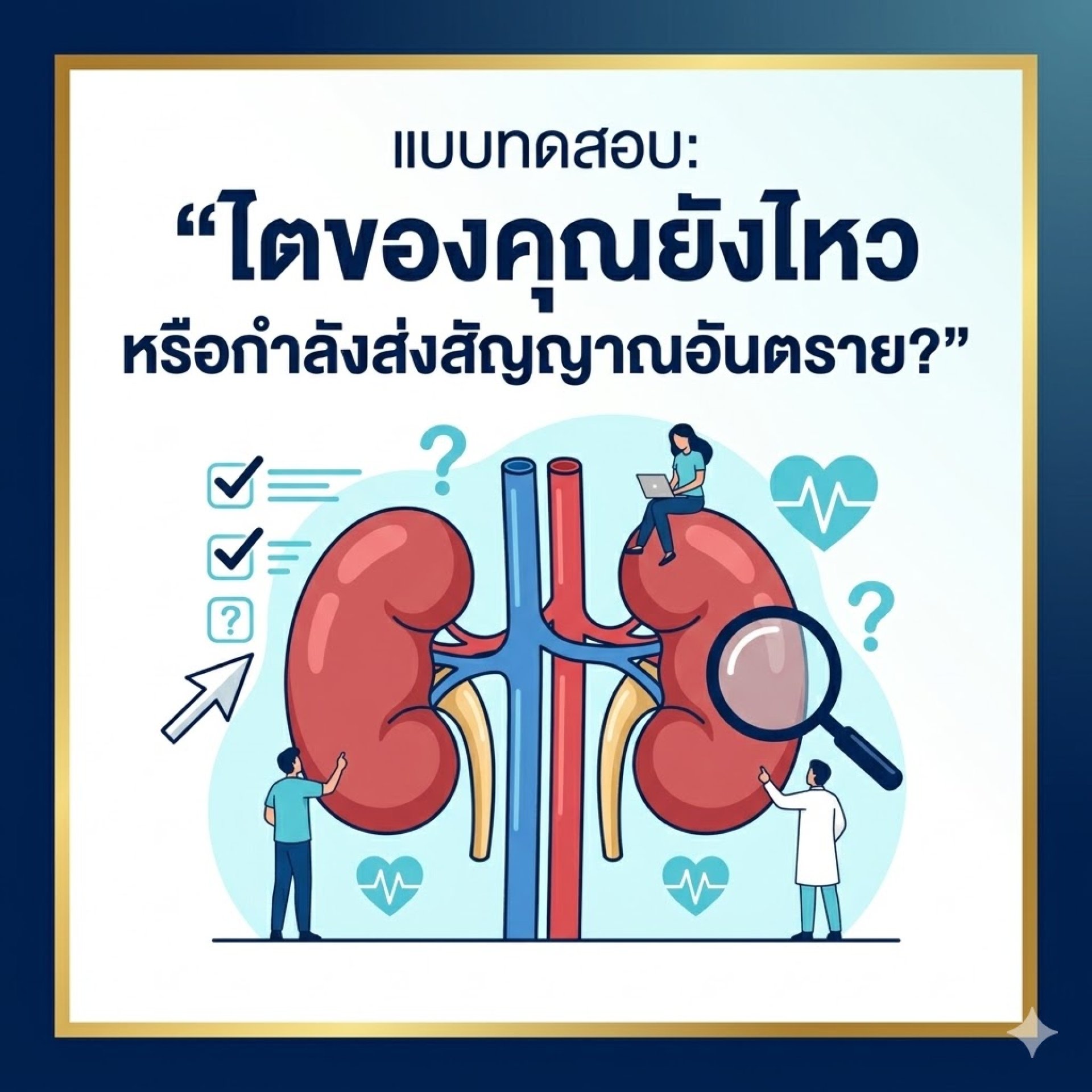 แบบทดสอบ ไต แบบทดสอบ ไต