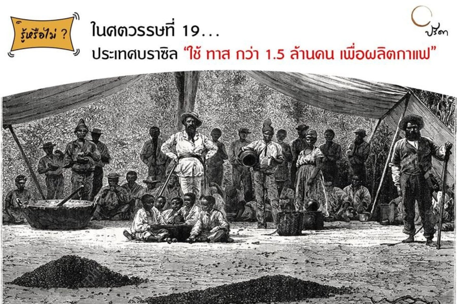 ประวัติกาแฟ ประวัติกาแฟ
