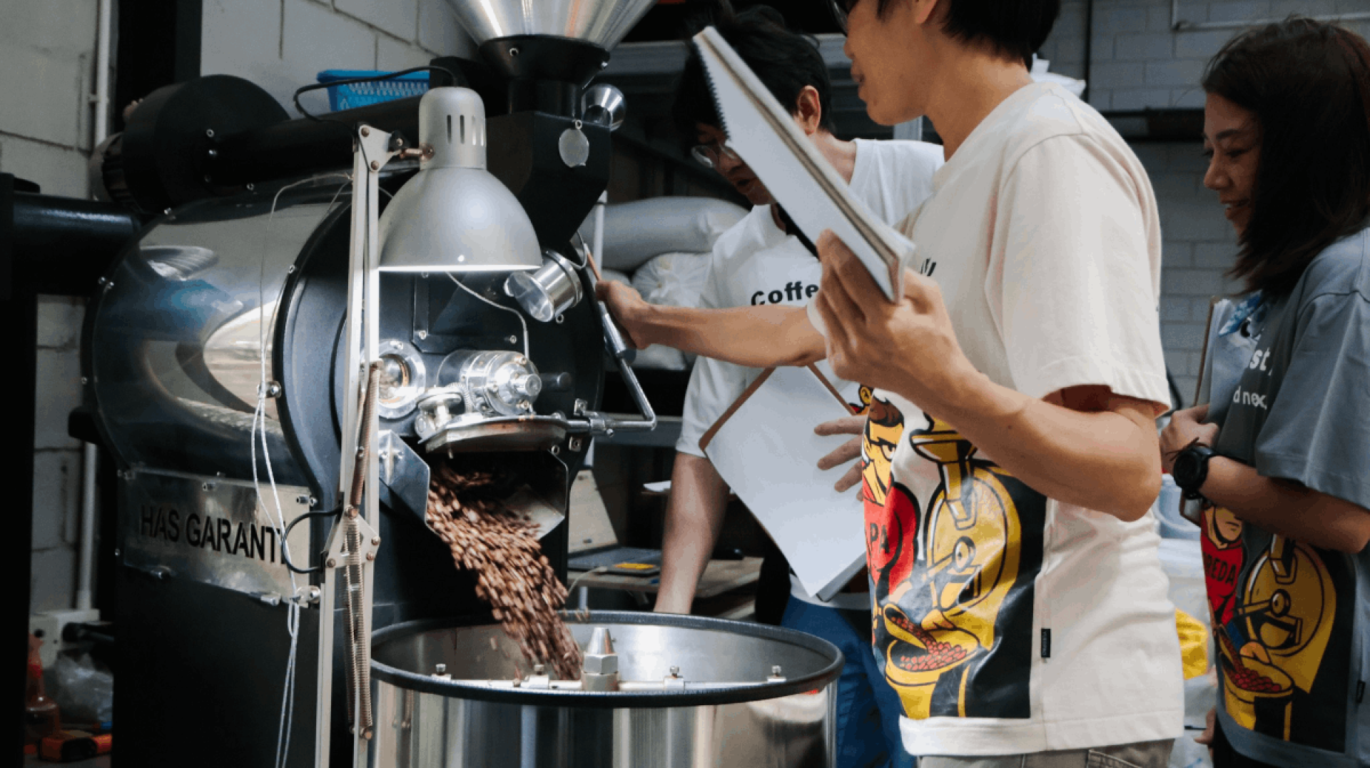 การเก็บเมล็ดกาแฟ การเก็บเมล็ดกาแฟ