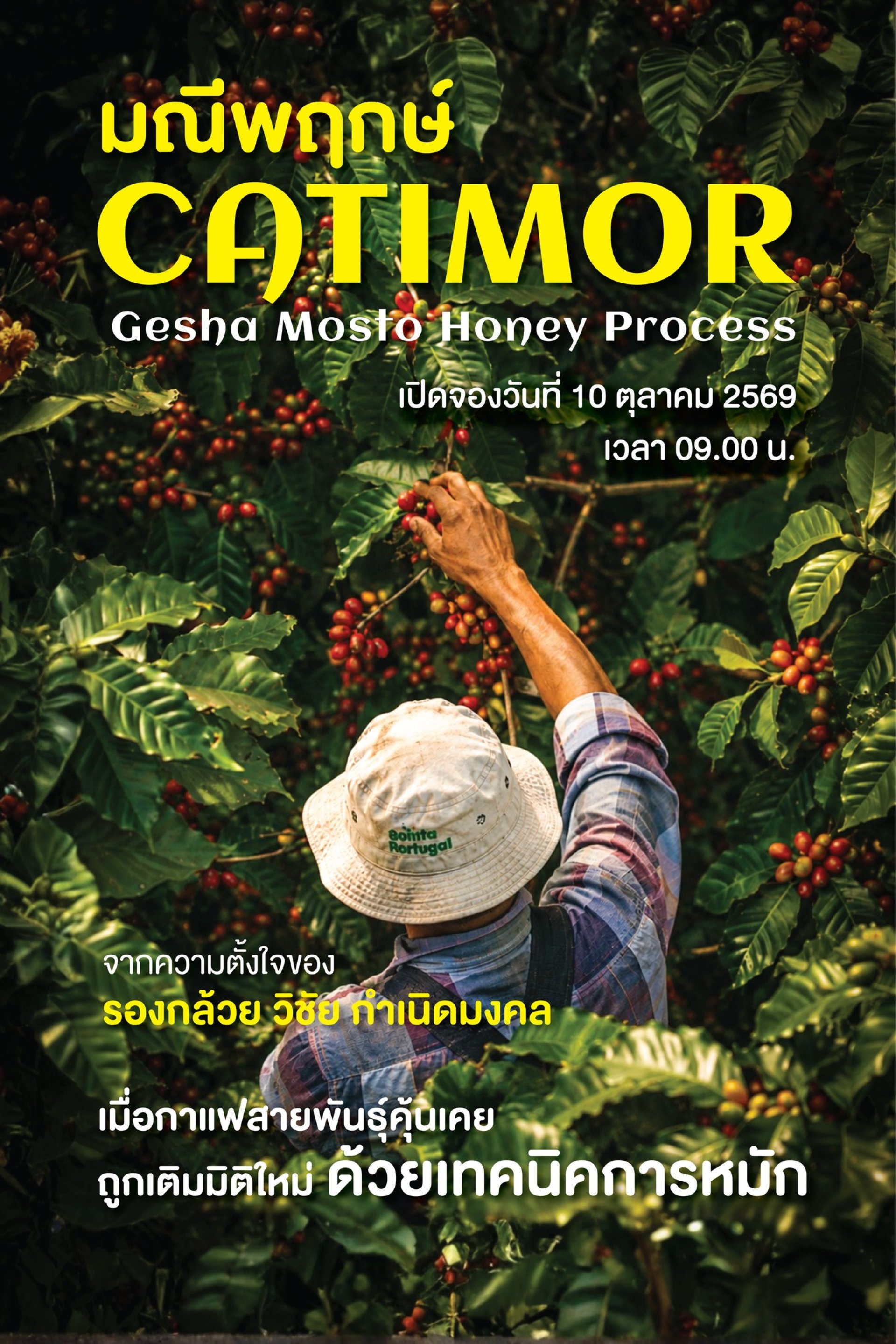มณีพฤกษ์คาติมอร์มอสโตเกชา มณีพฤกษ์คาติมอร์มอสโตเกชา