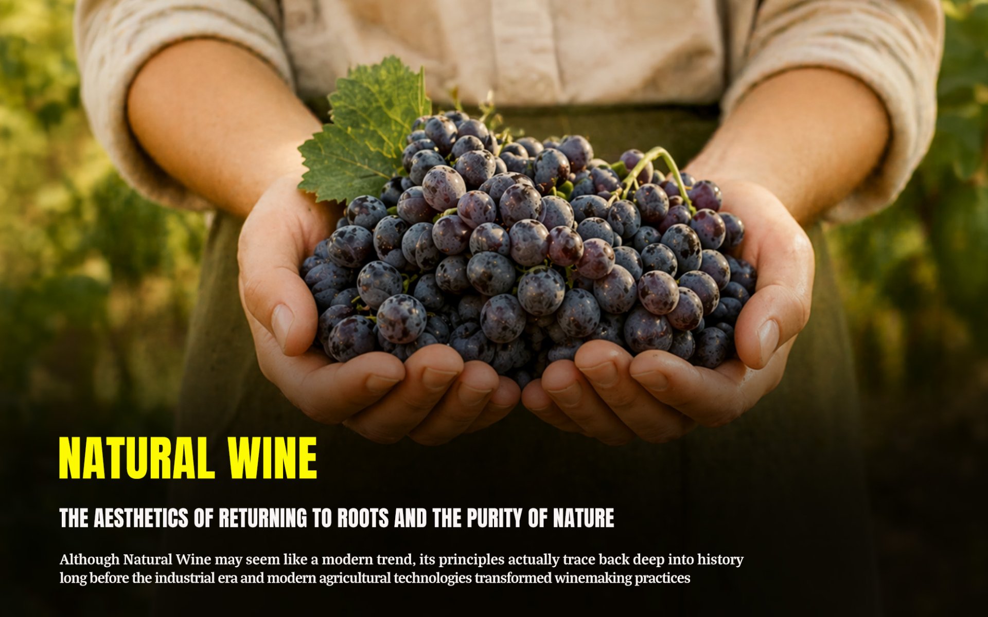 Natural Wine Natural Wine