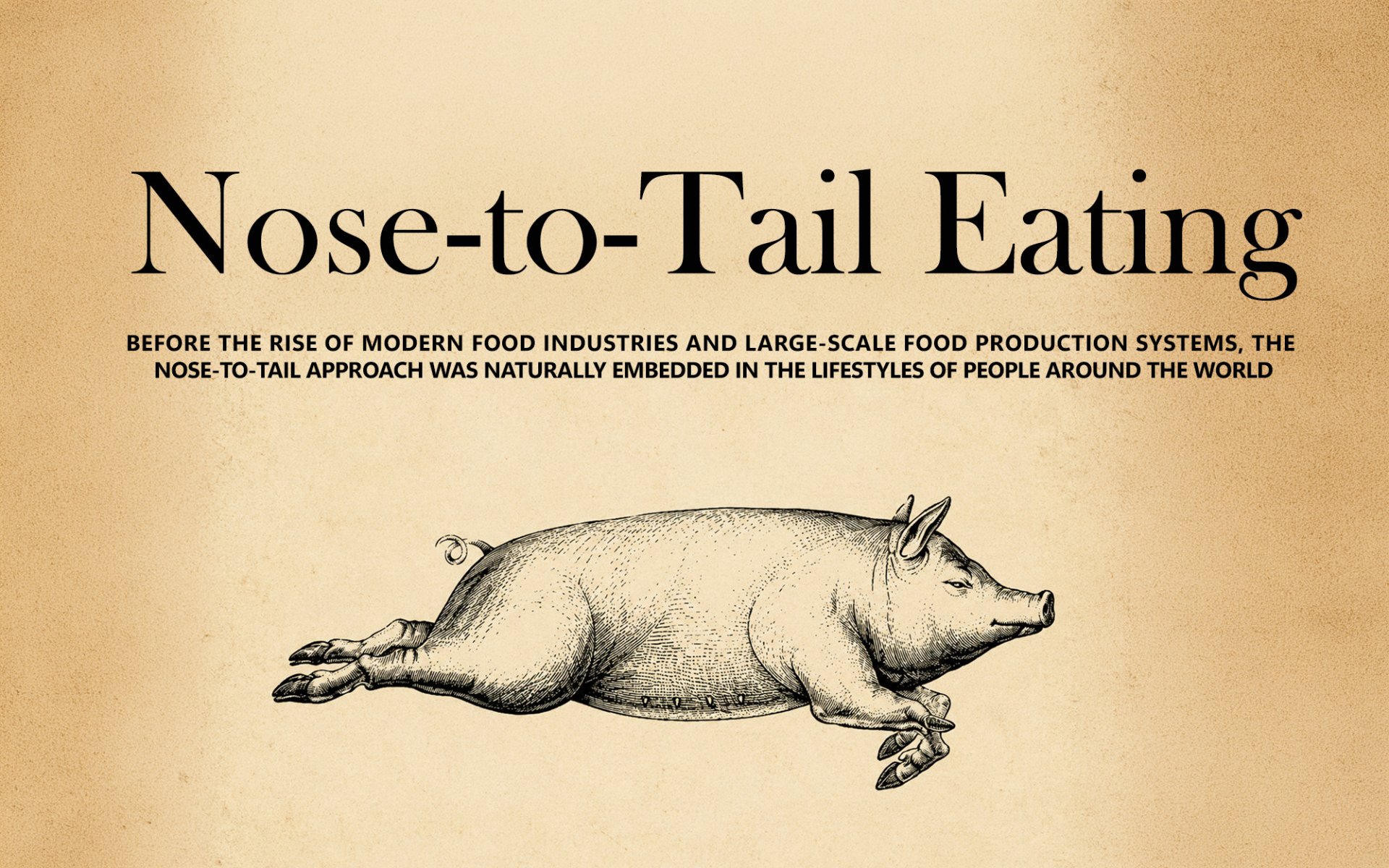 Nose-to-Tail Nose-to-Tail