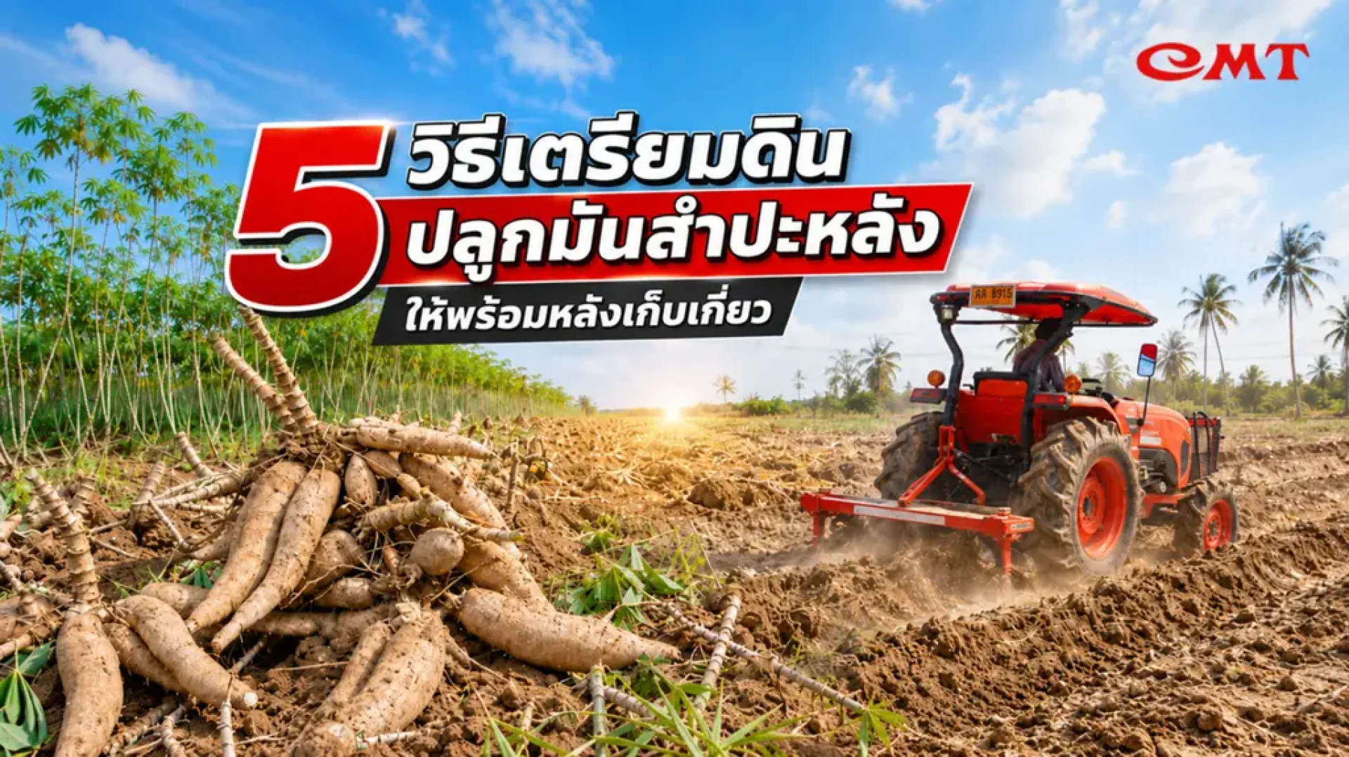 วิธีเตรียมดินปลูกมัน วิธีเตรียมดินปลูกมัน