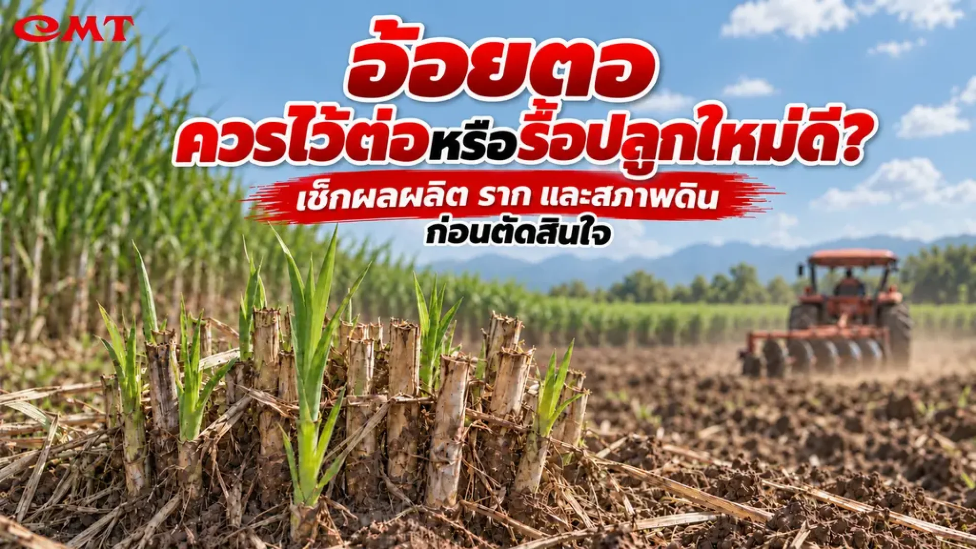 การรื้อตออ้อย การรื้อตออ้อย