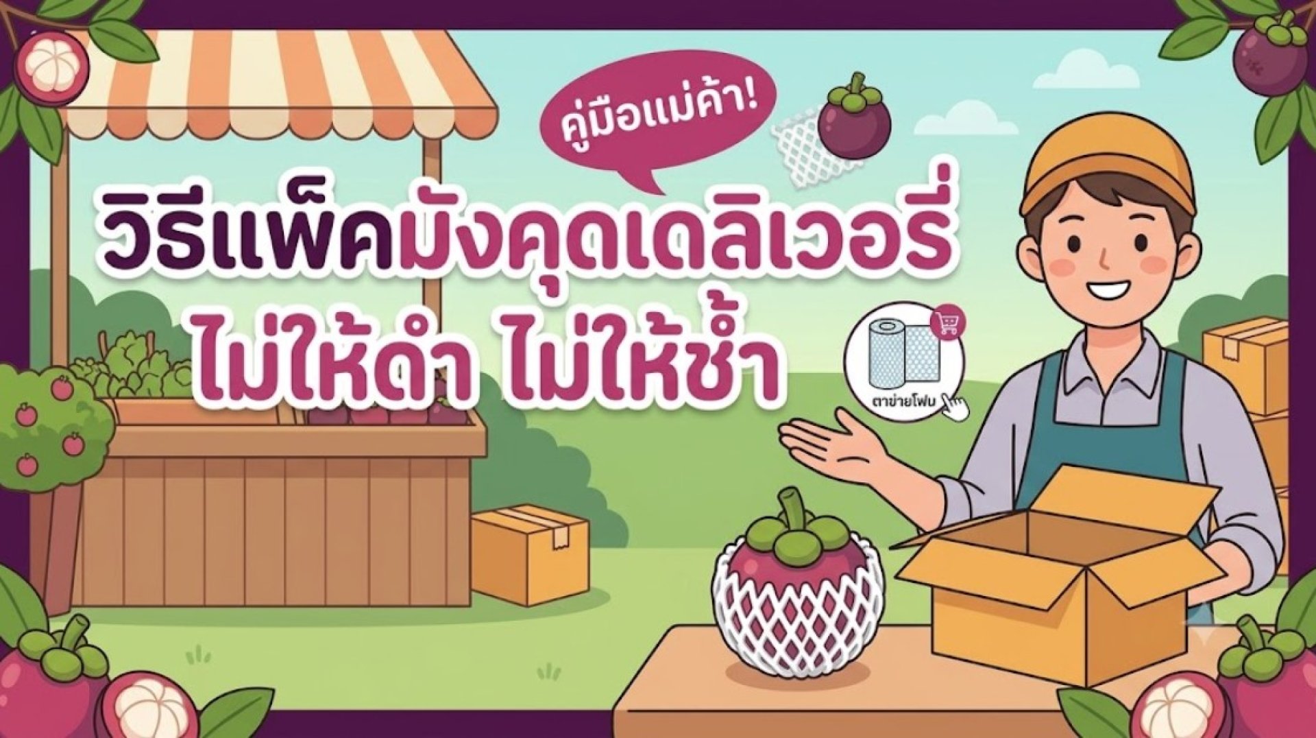 วิธีแพ็คมังคุด วิธีแพ็คมังคุด