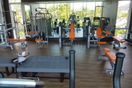 LAND & HOUSE FITNESS โครงการ 88 เกาะแก้ว