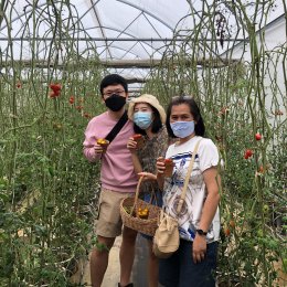 Harvest Festival ปีที่ 3