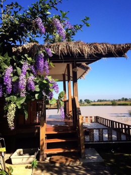 พักผ่อนในวิถีชนบทที่ บ้านท้องนา @ โครงการเกษตรอินทรีย์ สนามบินสุโขทัย