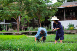 พักผ่อนในวิถีชนบทที่ บ้านท้องนา @ โครงการเกษตรอินทรีย์ สนามบินสุโขทัย