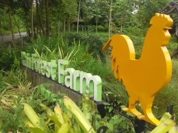 ทานอาหารเพื่อสุขภาพ เยี่ยมชมฟาร์มเกษตร@Rain Forest Farm 