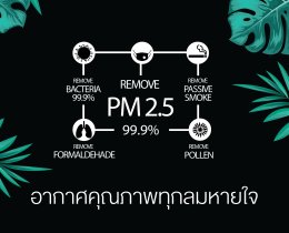 ประจุลบ (Negative ion)