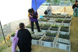 ตลาดส่งเสริมศิลปวัฒนธรรม "กาดก้อม กินอยู่ วิถี ล้านนา" ณ ศูนย์การเรียนรู้เศรษฐกิจพอเพียง มหาวิทยาลัยพะเยา