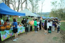 ตลาดส่งเสริมศิลปวัฒนธรรม "กาดก้อม กินอยู่ วิถี ล้านนา" ณ ศูนย์การเรียนรู้เศรษฐกิจพอเพียง มหาวิทยาลัยพะเยา