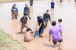 งานวันดำนา " ปี่่น้องเตี่ยวคันนาปาลงโต้ง " โดย คณะเกษตรศาสตร์ฯ มหาวิทยาลัยพะเยา