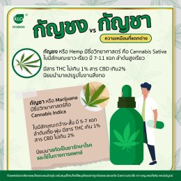 When "marijuana" is free, how to use it safely?