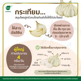 กระเทียมสมุนไพรคู่ครัวคนไทย กินยังไงให้ได้ประโยชน์