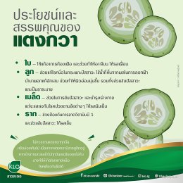 Benefits and properties of cucumber