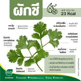 Benefits of Thai coriander