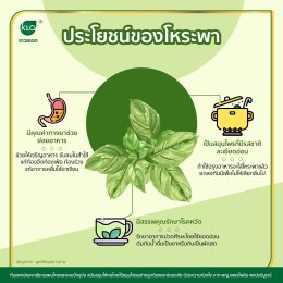 Benefits of basil