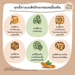 EyeHerbs EP.7 ทองม้วนสดขมิ้นชัน