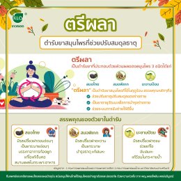 Triphala herbal remedies that help balance the elements