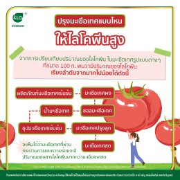 ปรุงมะเขือเทศแบบไหนให้ไลโคพีนสูง