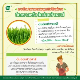 Delve into the nutrients and benefits of "Wheatgrass"