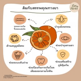 EyeHerbs EP.11 พานาคอตต้าส้ม ม็อกเทลส้ม