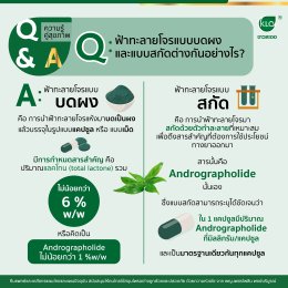 Q&Aฟ้าทะลายโจร