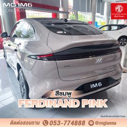 MG IM6 LONG RANGE 