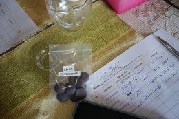 รีวิวช็อกโกแลตพรีเมียมโดยผู้เชี่ยวชาญด้านกาแฟ