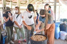 ศูนย์เรียนรู้วัฒนธรรมเกษตรล้านนา [เลี้ยงสุกร]
