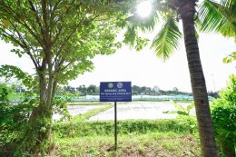 ศูนย์เรียนรู้วัฒนธรรมเกษตรล้านนา [ทำนา]