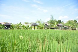 เกษตรทฤษฎีใหม่ตามแนวพระราชดำริ [แนวคิด]