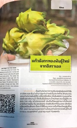 หนังสือเคหะเกษตรแก้วมังกรทองพันธุ์เหลืองอิสราเอล
