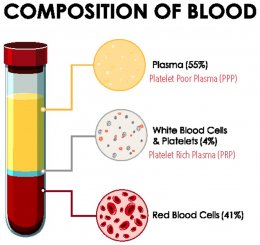 Blood Composition