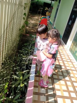 ต้นไม้ที่รัก 2565