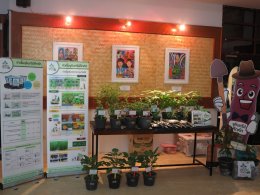 Military Training Workshop Project on “Krob Kuk Kuk” innovation For quality seedlings, promoting agroforestry, increasing forests, increasing yields, increasing income, quality of life, happiness "
