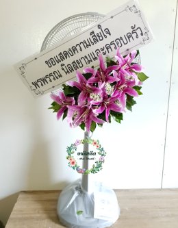 วัดพระเชตุพนวิมลมังคลาราม