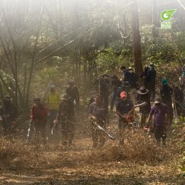 กรีนวิง แองเจิลเวย์ และกรีนวิงเงินด่วน ผนึกกำลังชุมชน สร้างแนวกันไฟ สู้ฝุ่น PM2.5